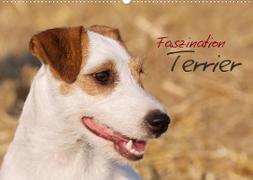 Faszination Terrier (Wandkalender 2023 DIN A2 quer)