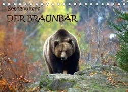 Begegnungen DER BRAUNBÄR (Tischkalender 2023 DIN A5 quer)