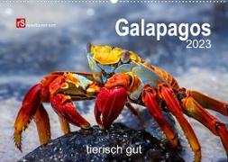 Galapagos 2022 tierisch gut (Wandkalender 2023 DIN A2 quer)