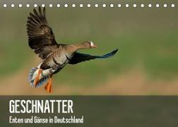 Geschnatter - Enten und Gänse in Deutschland (Tischkalender 2023 DIN A5 quer)