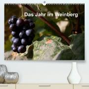 Das Jahr im Weinberg (Premium, hochwertiger DIN A2 Wandkalender 2023, Kunstdruck in Hochglanz)