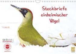 Steckbriefe einheimischer Vögel (Wandkalender 2023 DIN A4 quer)