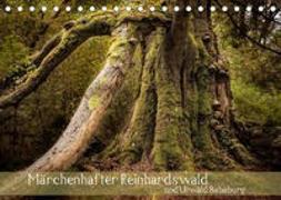 Märchenhafter Reinhardswald und Urwald Sababurg (Tischkalender 2023 DIN A5 quer)