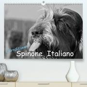 Carissimo Spinone Italiano (Premium, hochwertiger DIN A2 Wandkalender 2023, Kunstdruck in Hochglanz)
