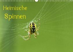 Heimische Spinnen (Wandkalender 2023 DIN A3 quer)