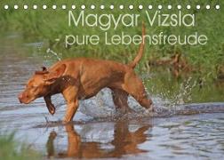 Magyar Vizsla - pure Lebensfreude (Tischkalender 2023 DIN A5 quer)