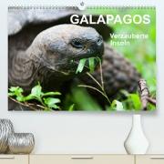 Galapagos. Verzauberte Inseln (Premium, hochwertiger DIN A2 Wandkalender 2023, Kunstdruck in Hochglanz)