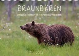 Braunbären - pelzige Riesen in Finnlands Wäldern (Wandkalender 2023 DIN A2 quer)
