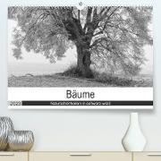Bäume - Naturschönheiten in schwarz-weiß (Premium, hochwertiger DIN A2 Wandkalender 2023, Kunstdruck in Hochglanz)