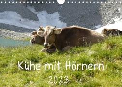 Kühe mit Hörnern (Wandkalender 2023 DIN A4 quer)