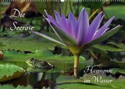Die Seerose - Harmonie im Wasser (Wandkalender 2023 DIN A2 quer)