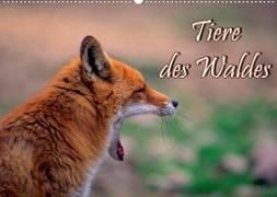 Tiere des Waldes (Wandkalender 2023 DIN A2 quer)