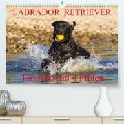 Labrador Retriever - ein Herz auf 4 Pfoten (Premium, hochwertiger DIN A2 Wandkalender 2023, Kunstdruck in Hochglanz)