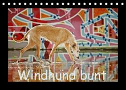 Windhund bunt (Tischkalender 2023 DIN A5 quer)