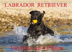 Labrador Retriever - ein Herz auf 4 Pfoten (Tischkalender 2023 DIN A5 quer)