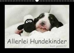 Allerlei Hundekinder (Wandkalender 2023 DIN A3 quer)