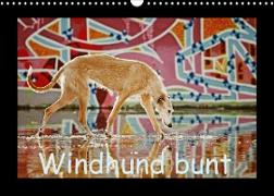 Windhund bunt (Wandkalender 2023 DIN A3 quer)