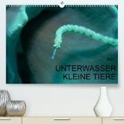 UNTERWASSER KLEINE TIERE (Premium, hochwertiger DIN A2 Wandkalender 2023, Kunstdruck in Hochglanz)