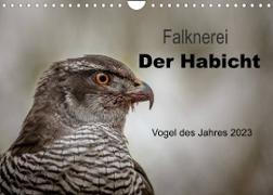 Falknerei Der Habicht (Wandkalender 2023 DIN A4 quer)
