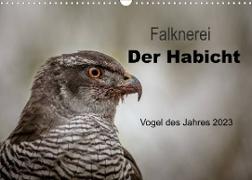 Falknerei Der Habicht (Wandkalender 2023 DIN A3 quer)