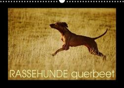 RASSEHUNDE querbeet (Wandkalender 2023 DIN A3 quer)