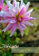 Dahlien - Blütenträume (Wandkalender 2023 DIN A2 hoch)