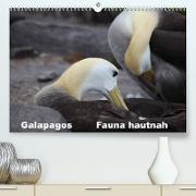 Galapagos. Fauna hautnah (Premium, hochwertiger DIN A2 Wandkalender 2023, Kunstdruck in Hochglanz)