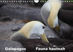 Galapagos. Fauna hautnah (Wandkalender 2023 DIN A4 quer)