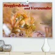 Seepferdchen und Verwandte (Premium, hochwertiger DIN A2 Wandkalender 2023, Kunstdruck in Hochglanz)