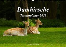 Damhirsche (Wandkalender 2023 DIN A2 quer)