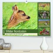 Wilder Nordosten - Aug in Aug mit Tieren der Ostseeregion (Premium, hochwertiger DIN A2 Wandkalender 2023, Kunstdruck in Hochglanz)
