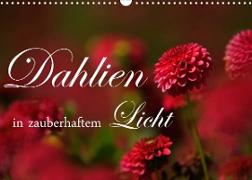 Dahlien in zauberhaftem Licht (Wandkalender 2023 DIN A3 quer)