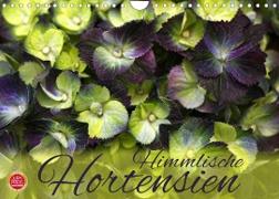 Himmlische Hortensien (Wandkalender 2023 DIN A4 quer)