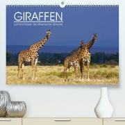 GIRAFFEN - Liebliche Riesen der afrikanischen Savanne (Premium, hochwertiger DIN A2 Wandkalender 2023, Kunstdruck in Hochglanz)