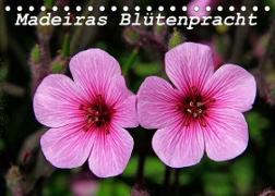 Madeiras Blütenpracht (Tischkalender 2023 DIN A5 quer)