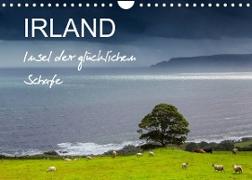 IRLAND - Insel der glücklichen Schafe (Wandkalender 2023 DIN A4 quer)
