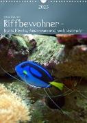 Riffbewohner - Bunte Fische, Anemonen und noch viel mehrAT-Version (Wandkalender 2023 DIN A3 hoch)