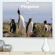 Pinguine in Patagonien (Premium, hochwertiger DIN A2 Wandkalender 2023, Kunstdruck in Hochglanz)