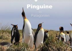Pinguine in Patagonien (Wandkalender 2023 DIN A3 quer)