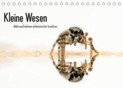 Kleine Wesen ¿ Makroaufnahmen von einheimischen Insekten (Tischkalender 2023 DIN A5 quer)