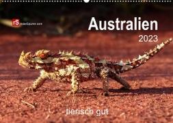 Australien tierisch gut 2023 (Wandkalender 2023 DIN A2 quer)