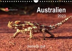 Australien tierisch gut 2023 (Wandkalender 2023 DIN A4 quer)
