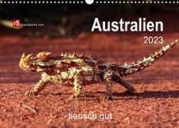 Australien tierisch gut 2023 (Wandkalender 2023 DIN A3 quer)