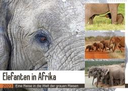 Elefanten in Afrika (Wandkalender 2023 DIN A2 quer)