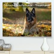 Deutsche Schäferhunde - Traumhunde (Premium, hochwertiger DIN A2 Wandkalender 2023, Kunstdruck in Hochglanz)