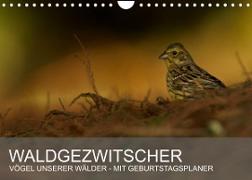 Waldgezwitscher - Vögel unserer Wälder (Wandkalender 2023 DIN A4 quer)