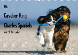 Mit Cavalier King Charles Spaniels durch das Jahr (Wandkalender 2023 DIN A2 quer)