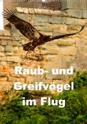 Raub- und Greifvögel im Flug (Wandkalender 2023 DIN A2 hoch)
