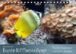 Bunte Riffbewohner - Fische, Anemonen und noch viel mehrCH-Version (Tischkalender 2023 DIN A5 quer)
