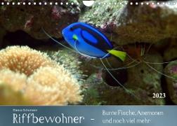 Riffbewohner - Bunte Fische, Anemonen und noch viel mehrAT-Version (Wandkalender 2023 DIN A4 quer)